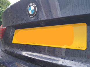 BMW Reverse Camera